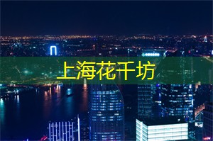 上海娱乐网：我玩不起爱情、、更输不起感情