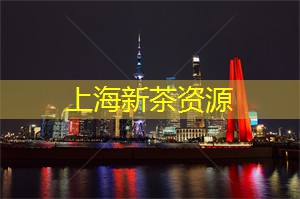 爱上海：你可以看到成群结队的鸟儿在天空中展翅翱翔
