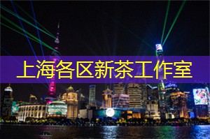 上海花千坊：青少年健康与运动的密切关系